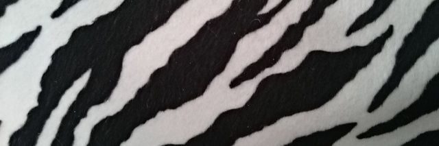 AnneAk52's profile banner image