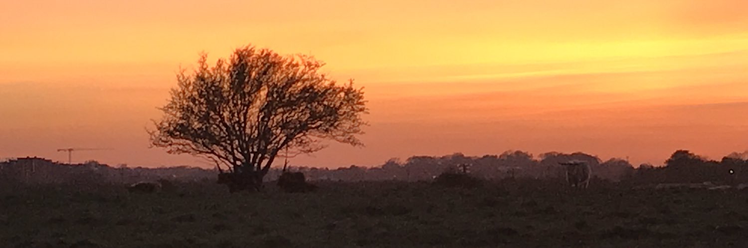 ikeydub's profile banner image