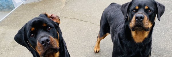 Pnutwalker68 Profile Banner