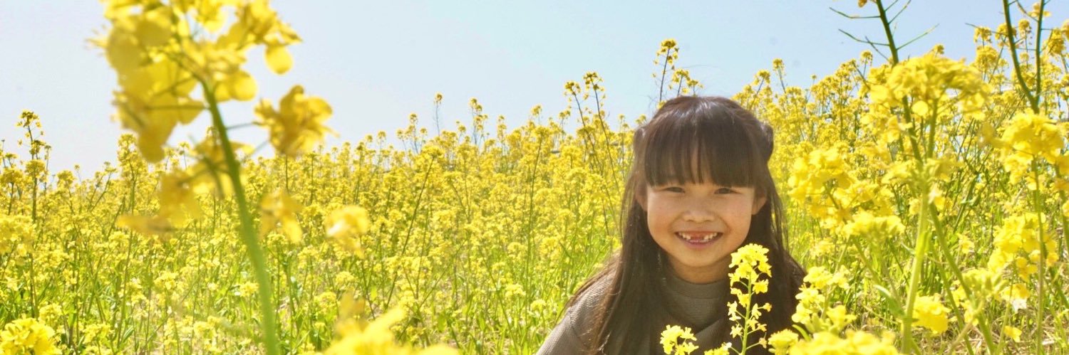 saku_pyonpyon's profile banner image