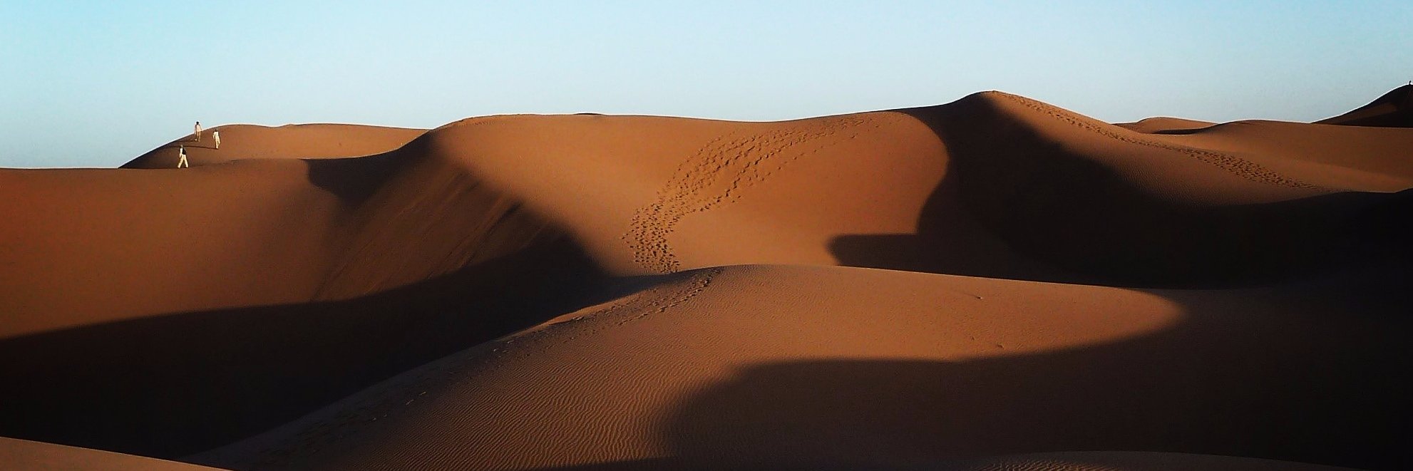 Melodiedudesert's profile banner image