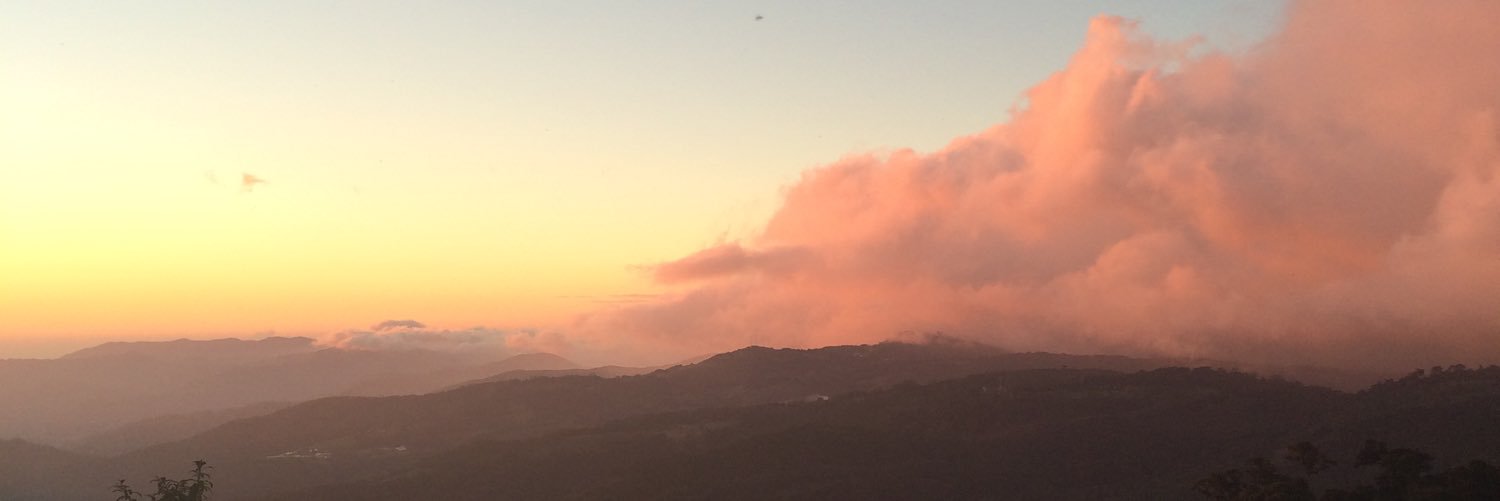 michaelglynch's profile banner image