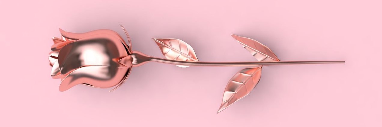 DorisdeLourdes's profile banner image