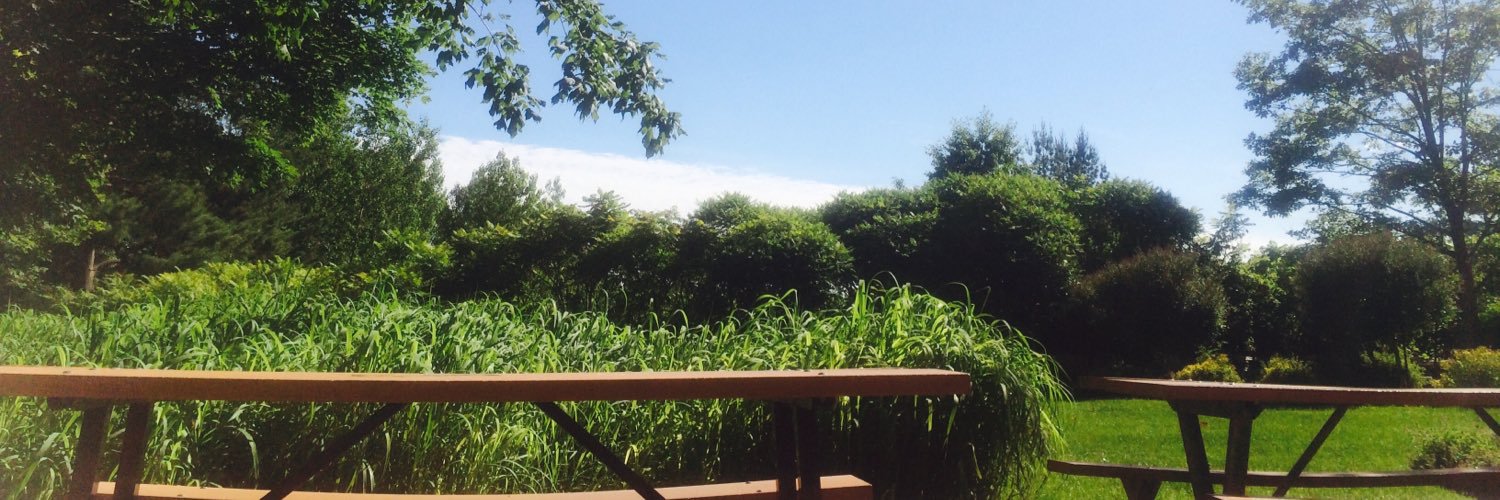 maxine0x's profile banner image