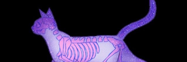 MerariPhoenix's profile banner image