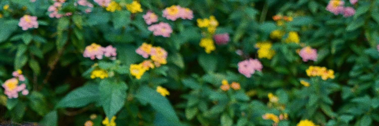 nadiantn's profile banner image
