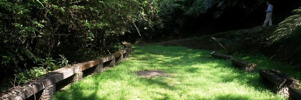 Vinn_ms Profile Banner