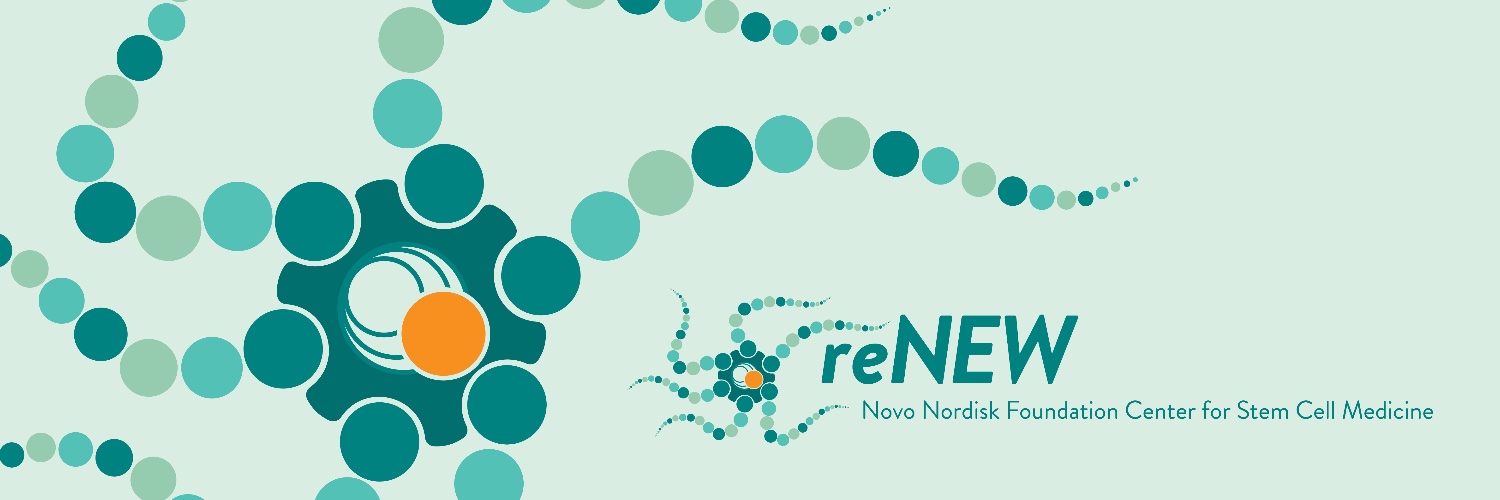 reNEW banner