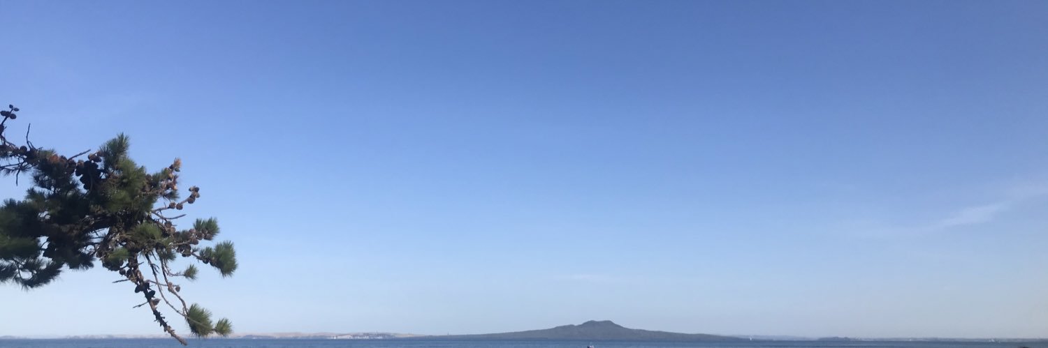 WiFiNZ's profile banner image