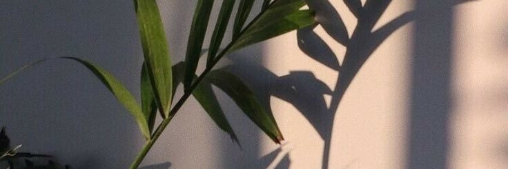 ✍🏽 banner