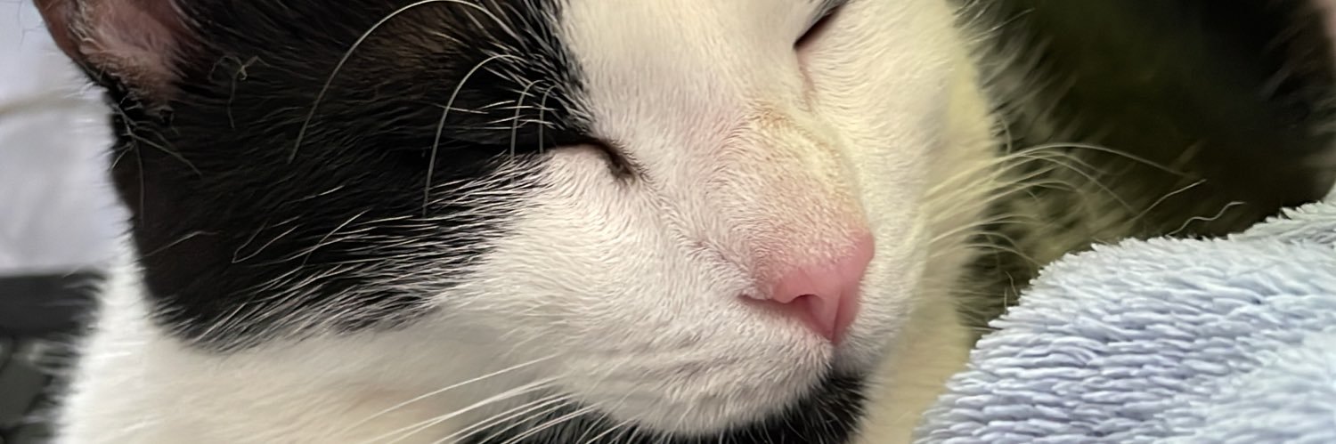 mariduarter_'s profile banner image