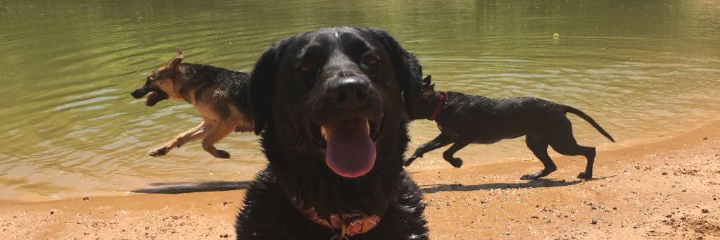 jwolfelove's profile banner image