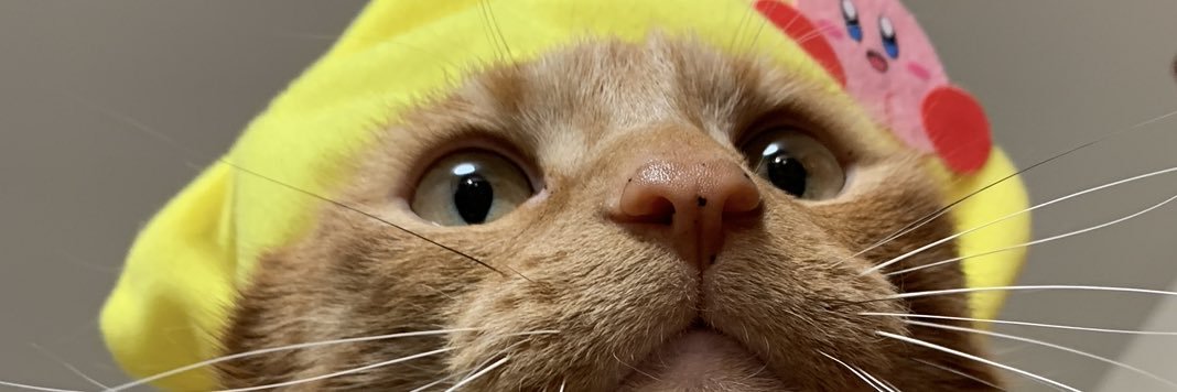 zippeee_'s profile banner image
