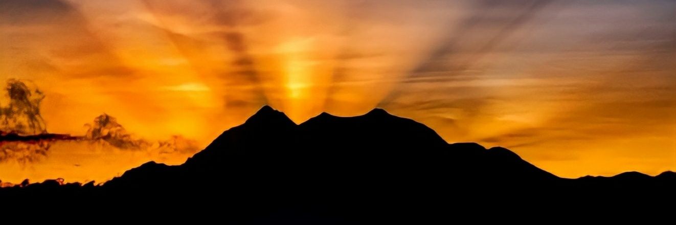sandy_troche's profile banner image
