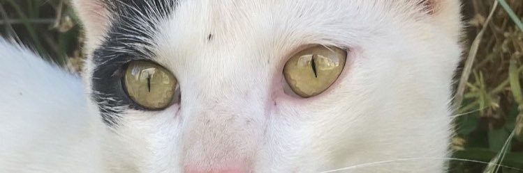 mel_dz28's profile banner image