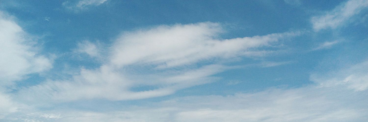 rstnprl's profile banner image
