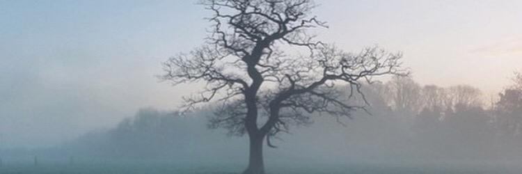 unnaleese's profile banner image