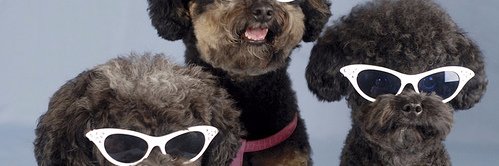 pheeebsie's profile banner image