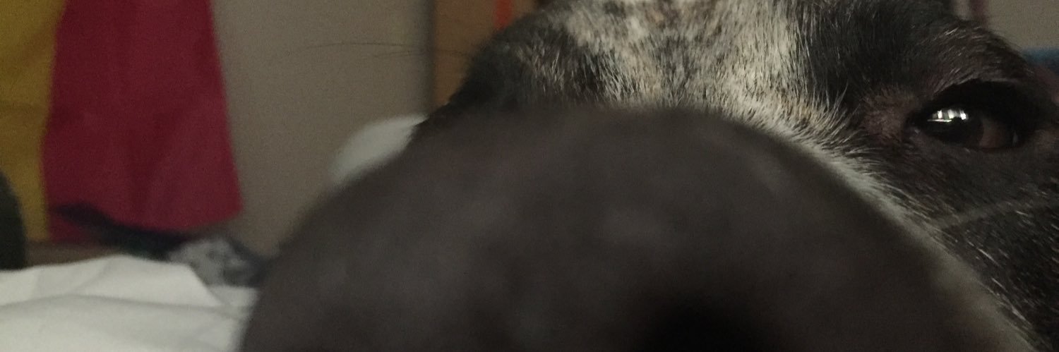 juniperberry_0's profile banner image
