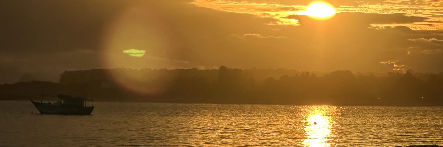 mftomello's profile banner image