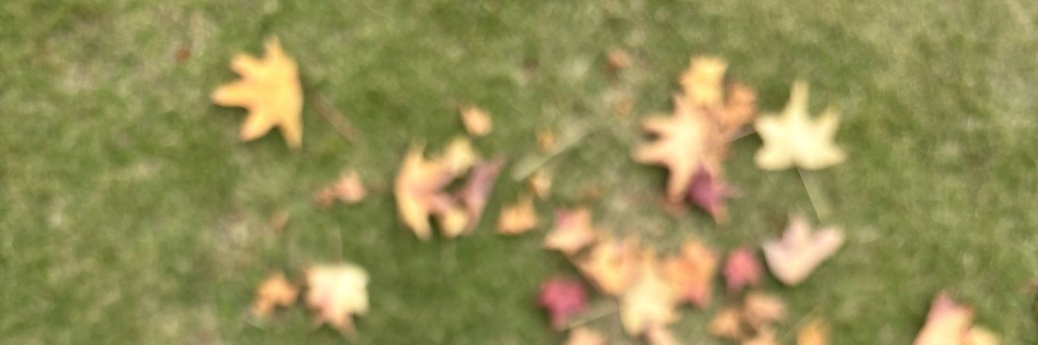 waaa_o1's profile banner image