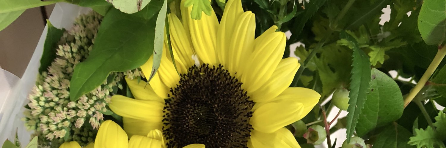 komiiko1111's profile banner image