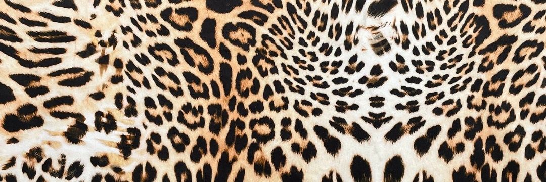 PuranDanielle's profile banner image