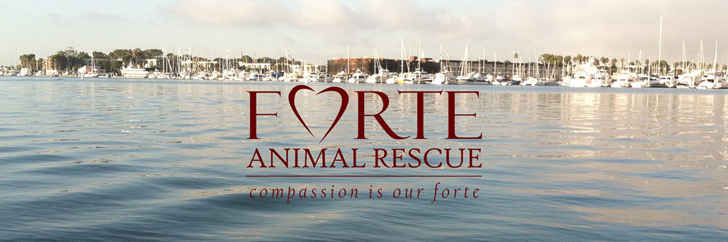 ForteAnimalResq's profile banner image