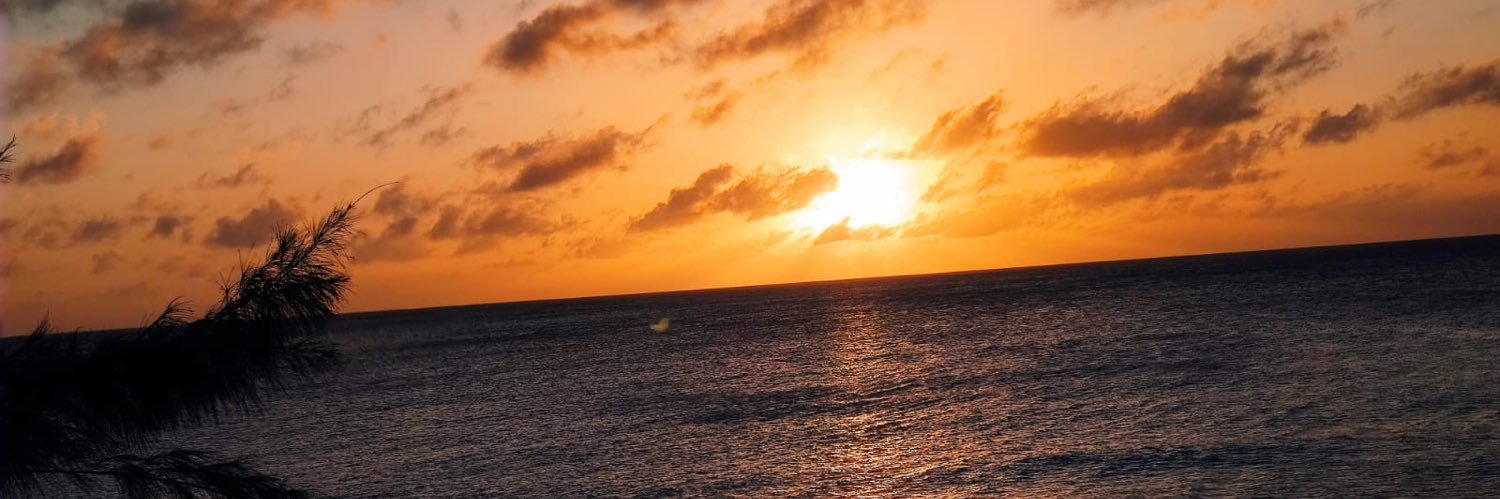 lupe🧚🏻‍♀️ banner