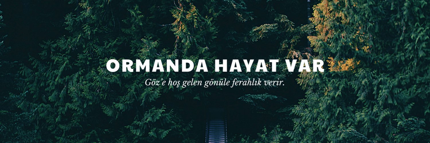Orman Mühendisi's banner