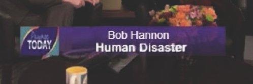 Bob Hannon (parody) banner
