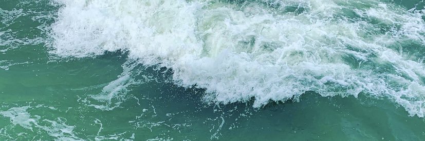 TaylorBonomo1's profile banner image