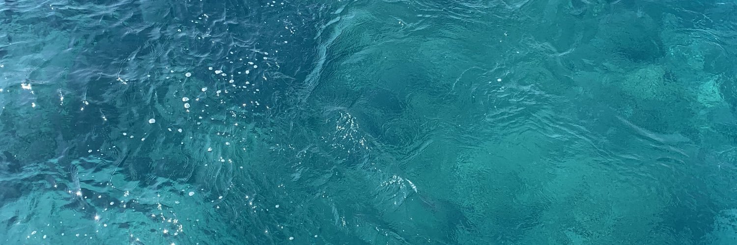 SarahBritt_'s profile banner image