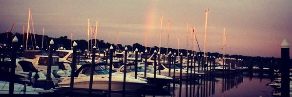 Liza_Rae's profile banner image