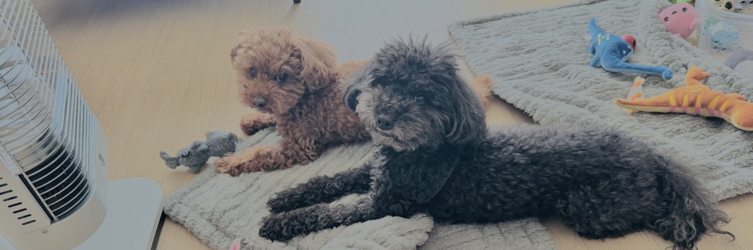 エディ&ルイ banner