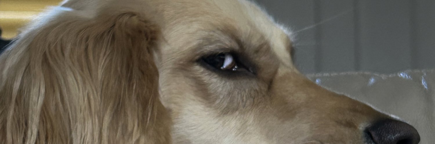 UnknownErmine's profile banner image