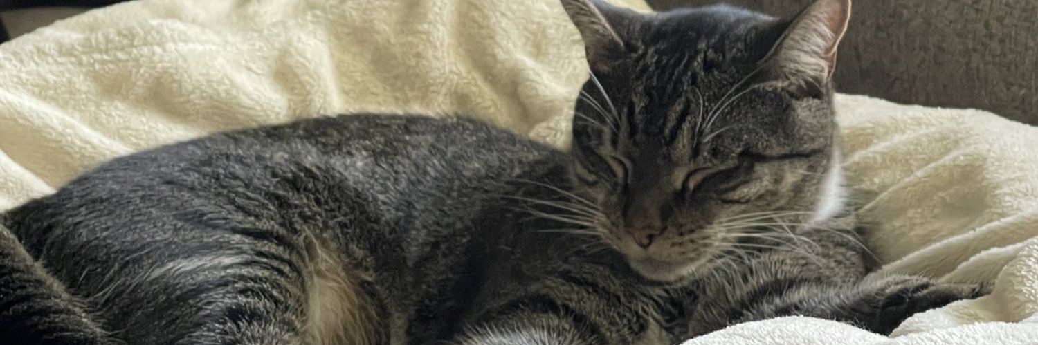 Justin Demiduk banner