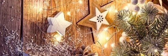 Barbara_Mischa's profile banner image