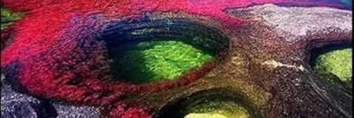 Frases y Comentarios banner