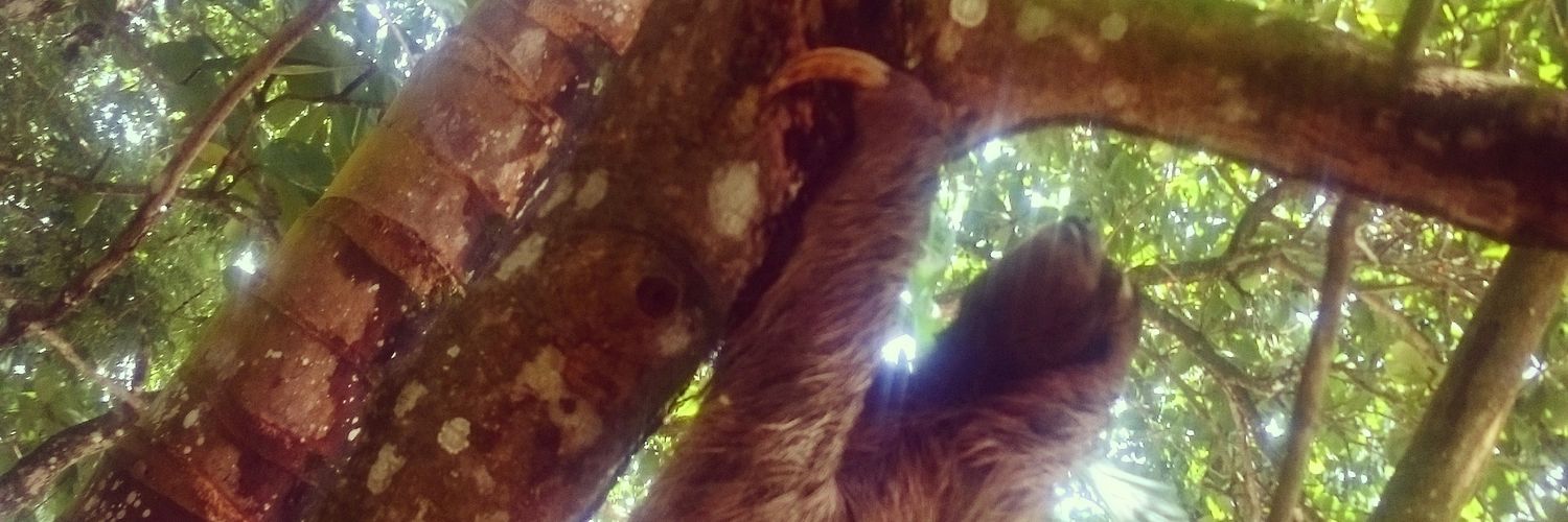 _AshleyCh_'s profile banner image