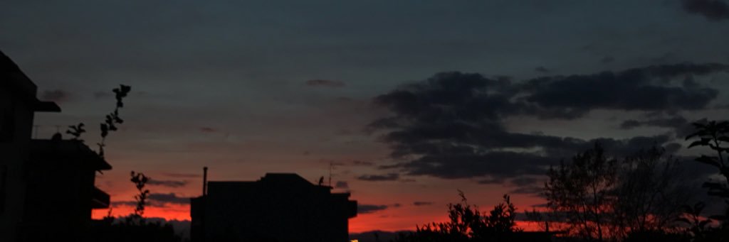 skaterved's profile banner image