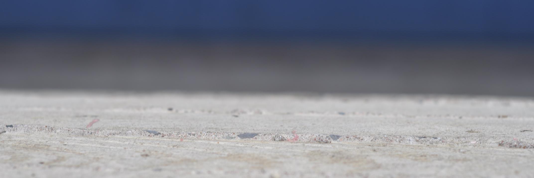 Brenna Hughes Neghaiwi banner