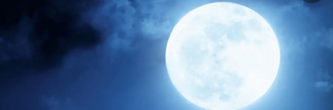 JNYDFS's profile banner image