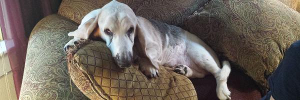 ungerbn103 Profile Banner