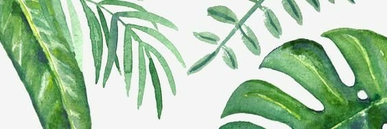 camgoro's profile banner image