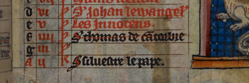 Dr Facio res et bibo (Tristan B. Taylor)  banner