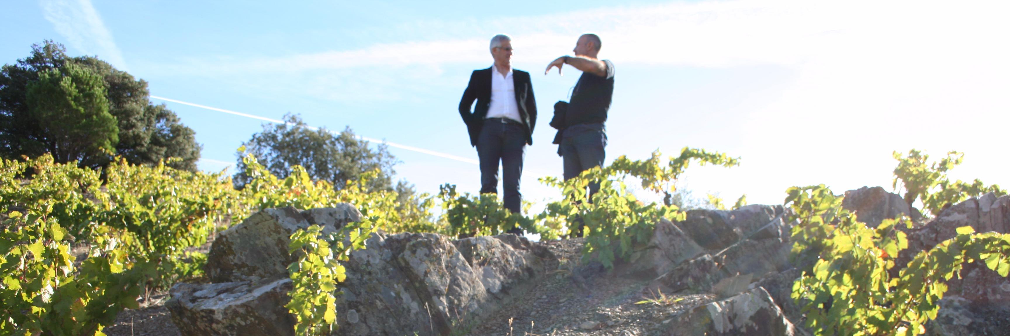 UntappedWines's profile banner image
