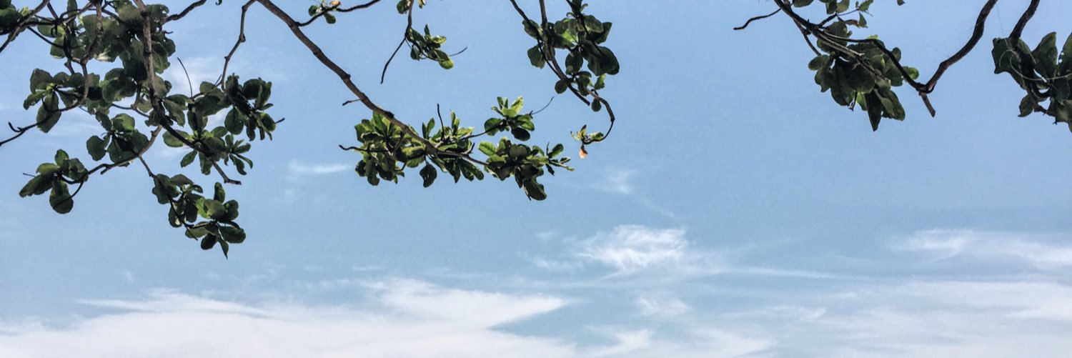 japetito's profile banner image