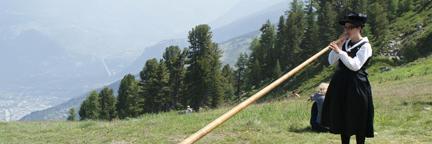 Alps Tweeter banner