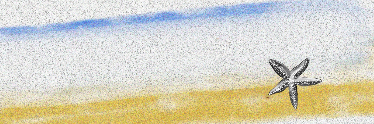 usohayami's profile banner image